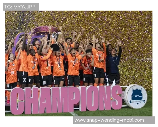 恒大足球发展历程回顾与展望探讨中国足球未来的机遇与挑战